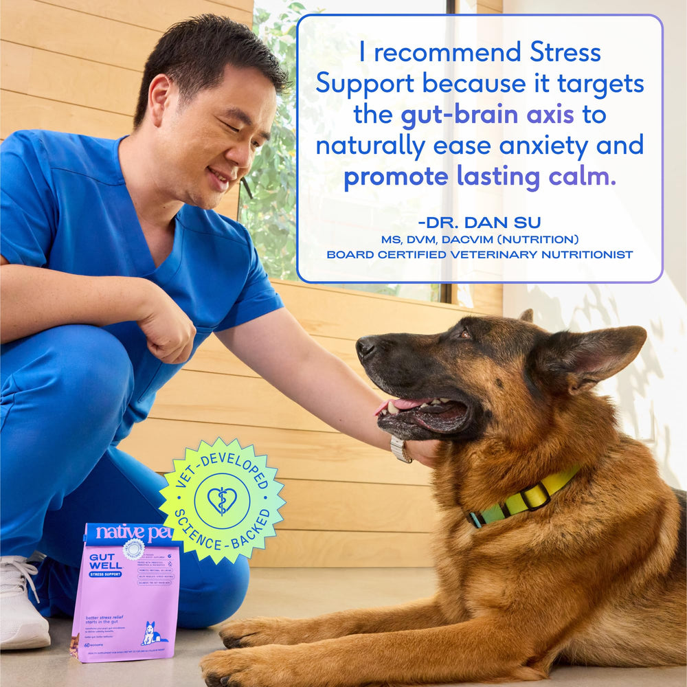 Native Pet GutWell Stress Support cold-pressed format preserving potency.