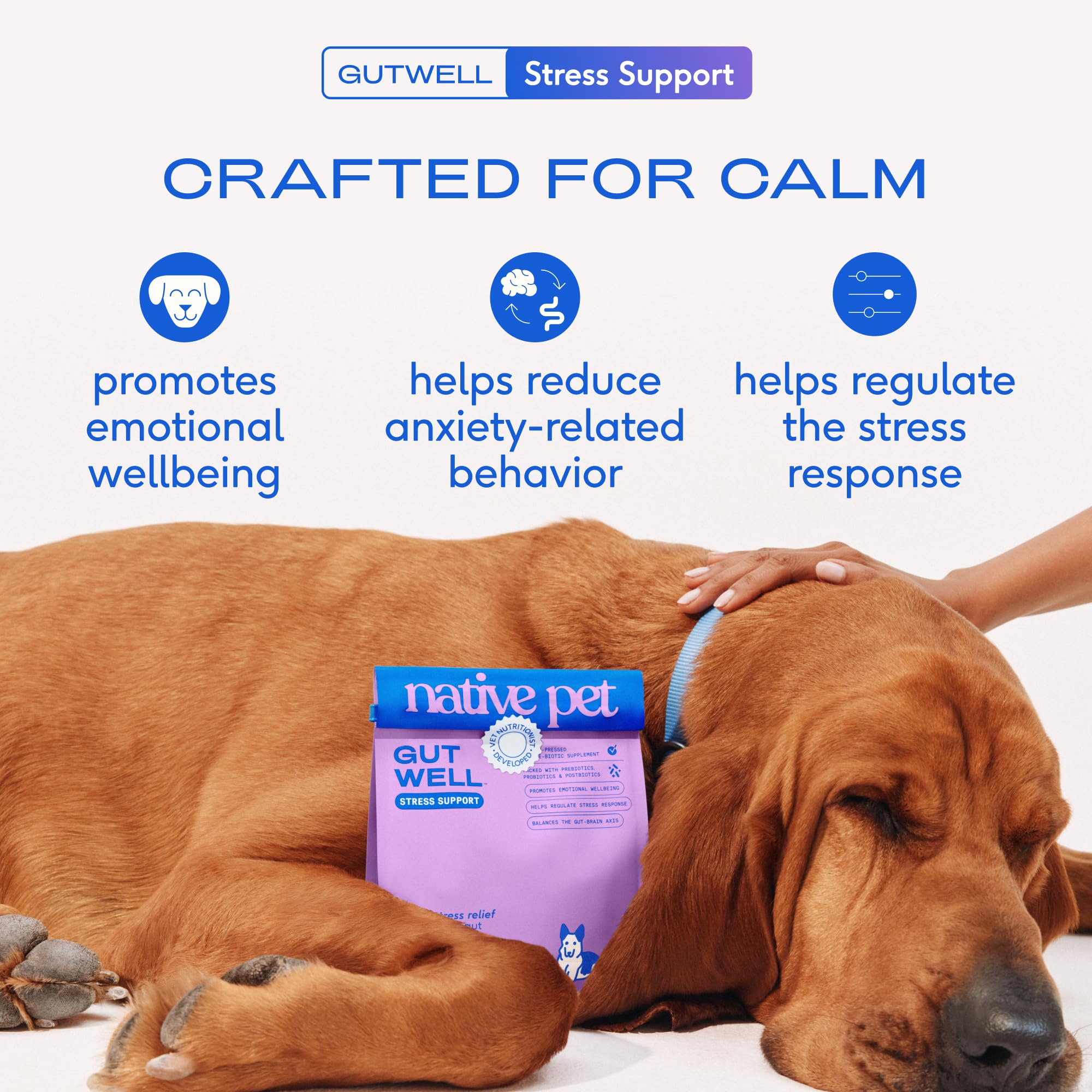 Native Pet GutWell Stress Support label closeup highlights triple-biotic blend for gut balance.