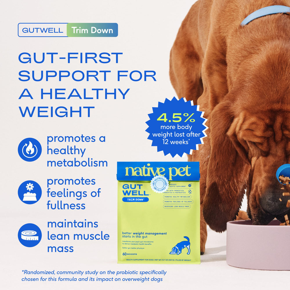 Native Pet GutWell Trim Down scoop dispensing supplement into bowl for convenient dosing