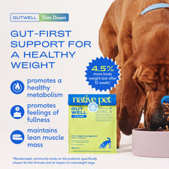 Native Pet GutWell Trim Down scoop dispensing supplement into bowl for convenient dosing