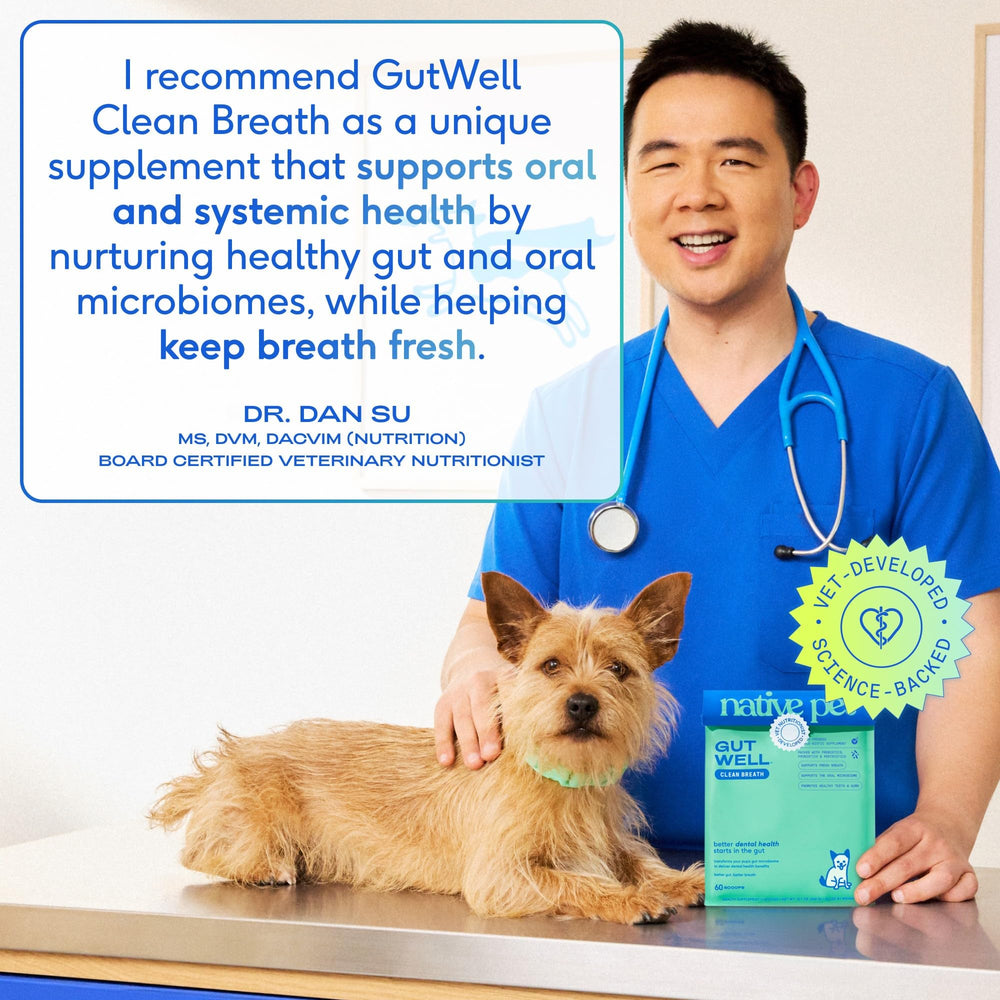 Native Pet GutWell USA-made label highlights domestic production.