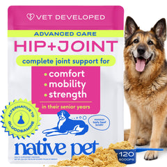 Native Pet Hip & Joint Advanced Care powder bottle supports mobility and joint comfort.