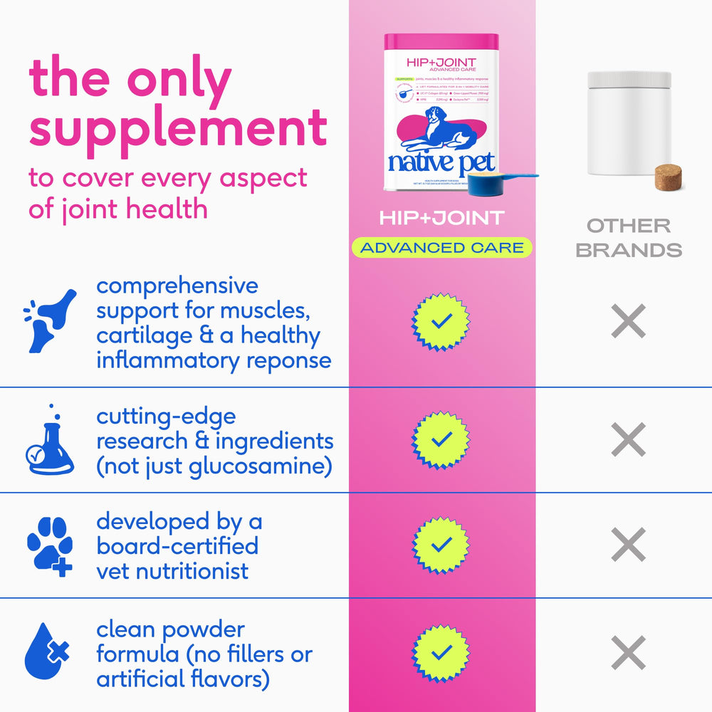 Native Pet Advanced Care helps dogs stay active during walks and play with support.