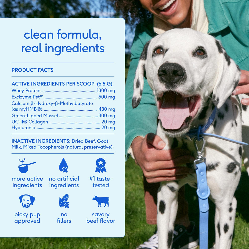 Native Pet powder blends easily into meals for consistent joint support dosing.