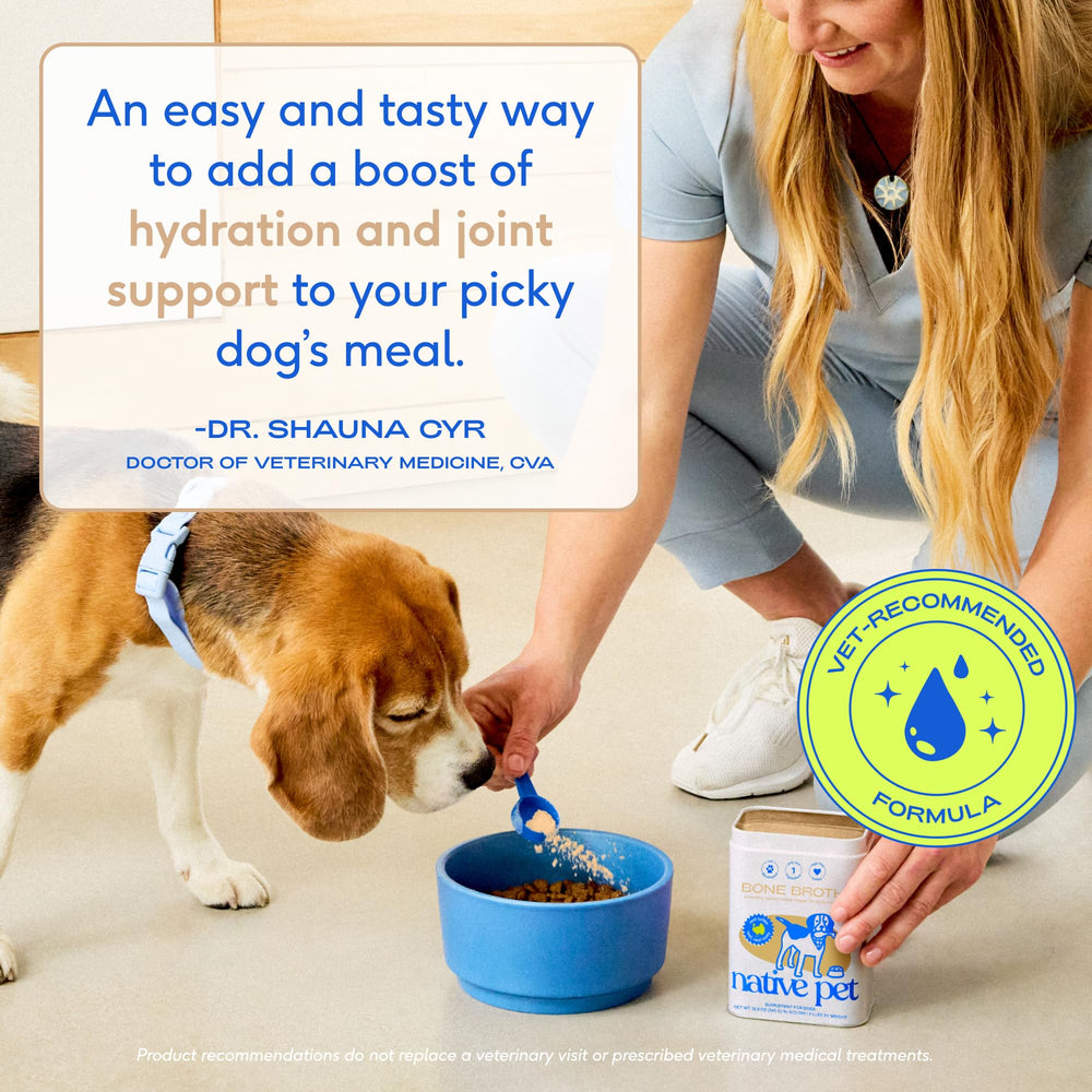Native Pet bone broth powder poured to hydrate an active dog