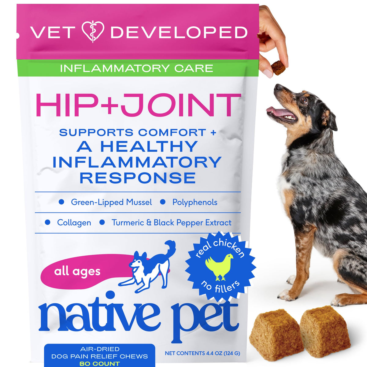 Native Pet Inflammatory Care chews in a bottle for dogs' joint comfort.