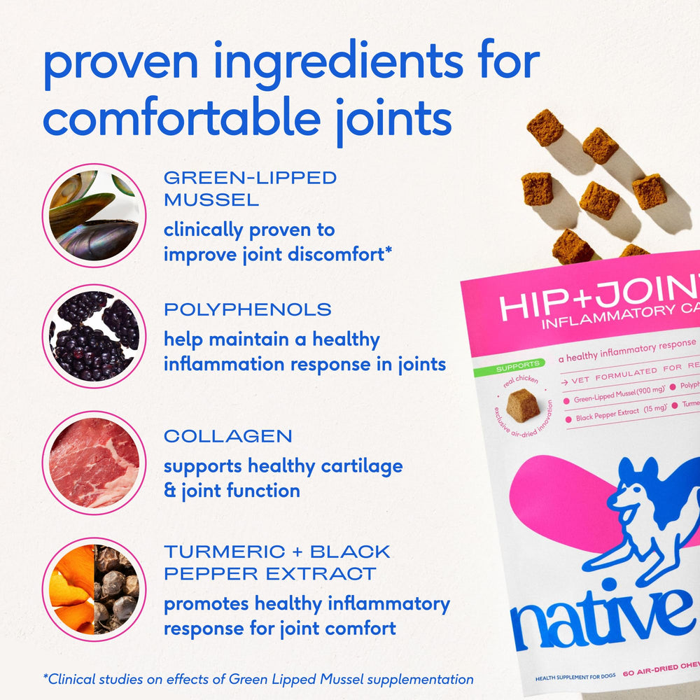 Native Pet Inflammatory Care collagen supports cartilage and connective tissue health.