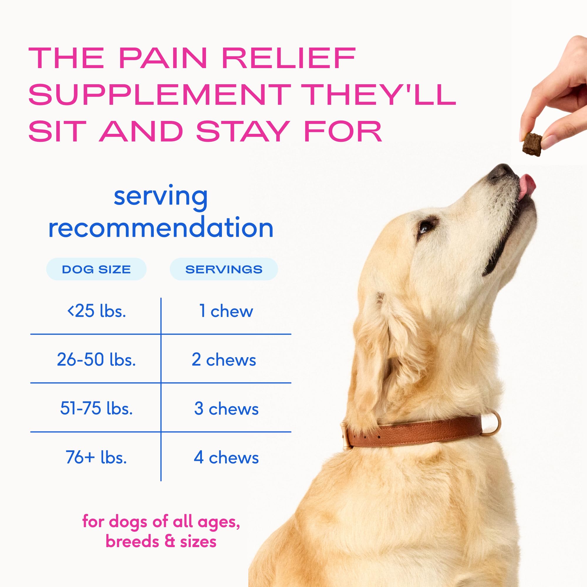 Packaging design for Native Pet shows simple routine integration