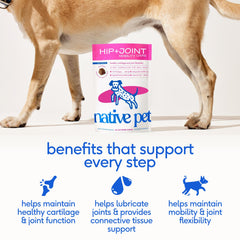 Native Pet Mobility Care chews closeup showing tasty air-dried formula dogs enjoy.