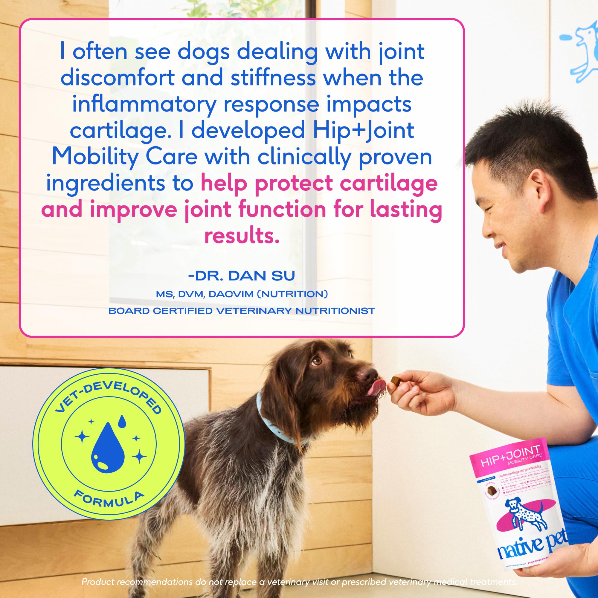 Native Pet Mobility Care dog running with vibrant energy.