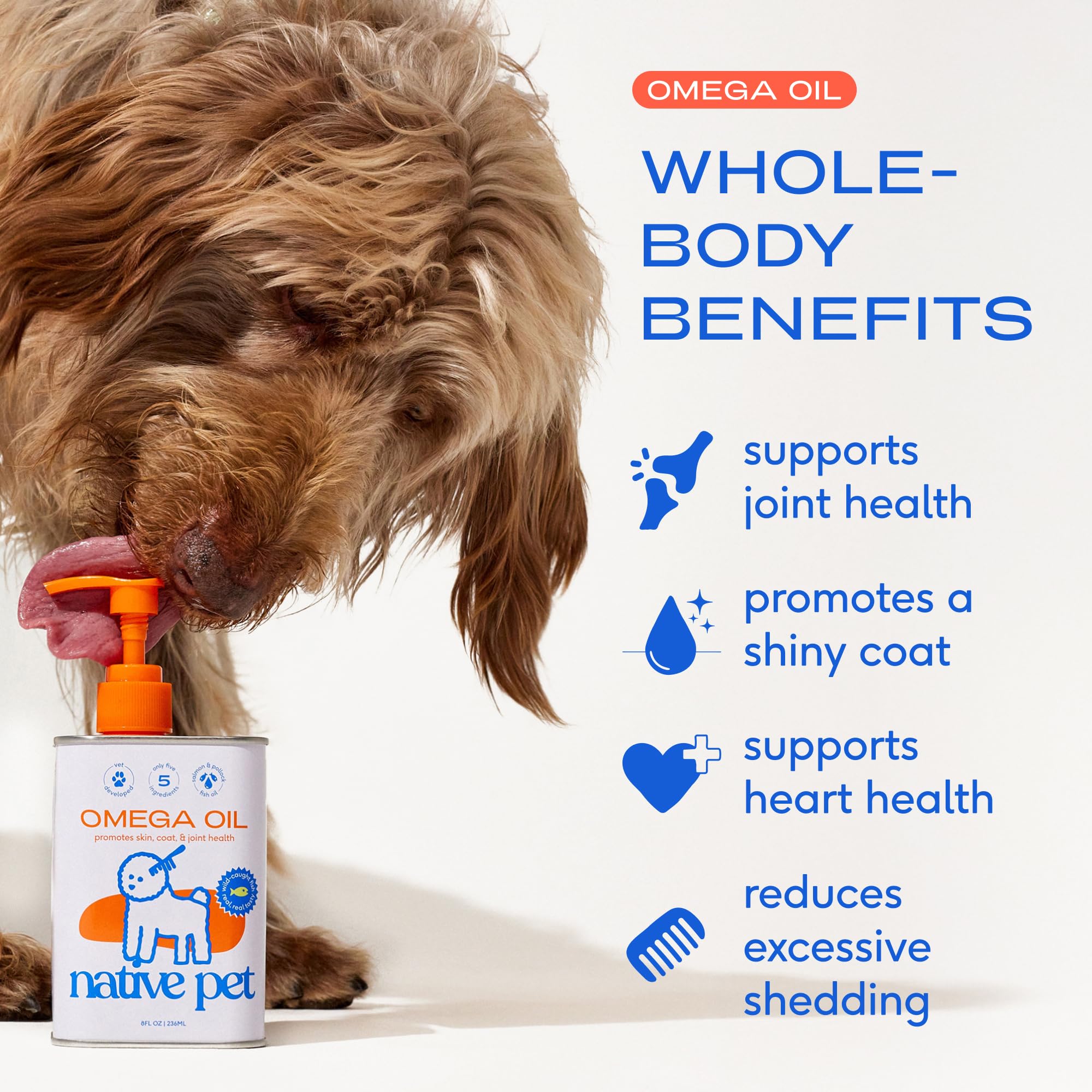 Native Pet Omega-3 cat-bowl-mix shows smooth integration into meals and palatability.
