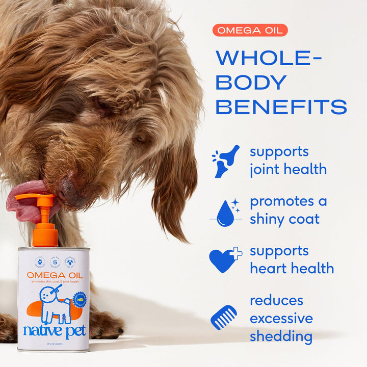 Native Pet Omega-3 cat-bowl-mix shows smooth integration into meals and palatability.