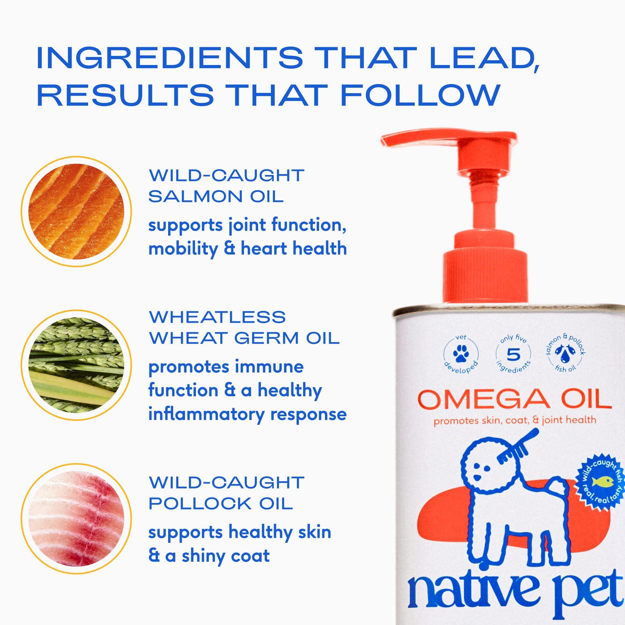 Native Pet Omega 3 skin and coat shine appears with daily use.