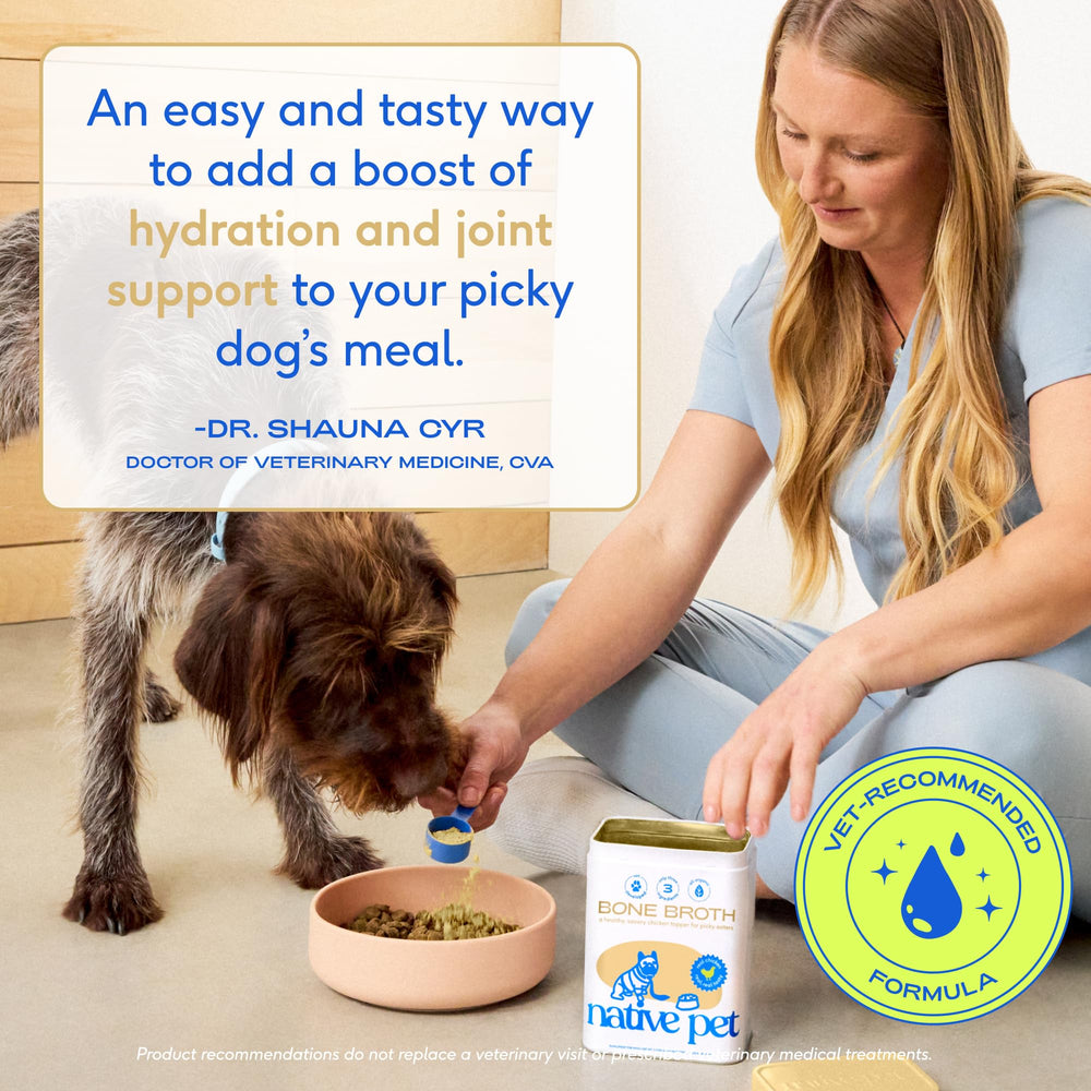 Native Pet organic chicken bone broth powder