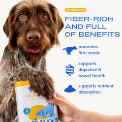 Native Pet organic pumpkin seed fiber detail highlights natural fiber sources for gut support