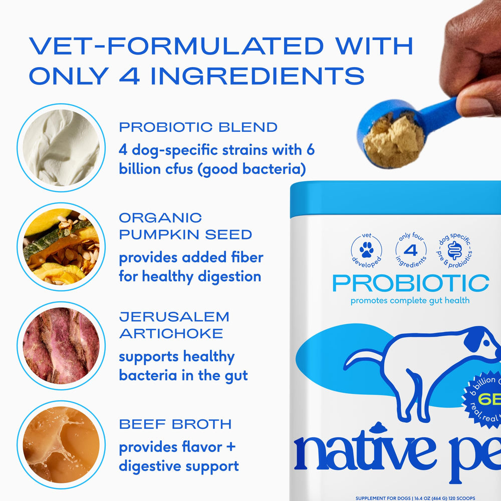 Native Pet Probiotics beef bone broth flavor highlights dog-friendly digestion support