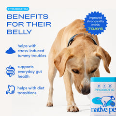 Native Pet Probiotics for Dogs bottle pour shows easy, mix-in serving