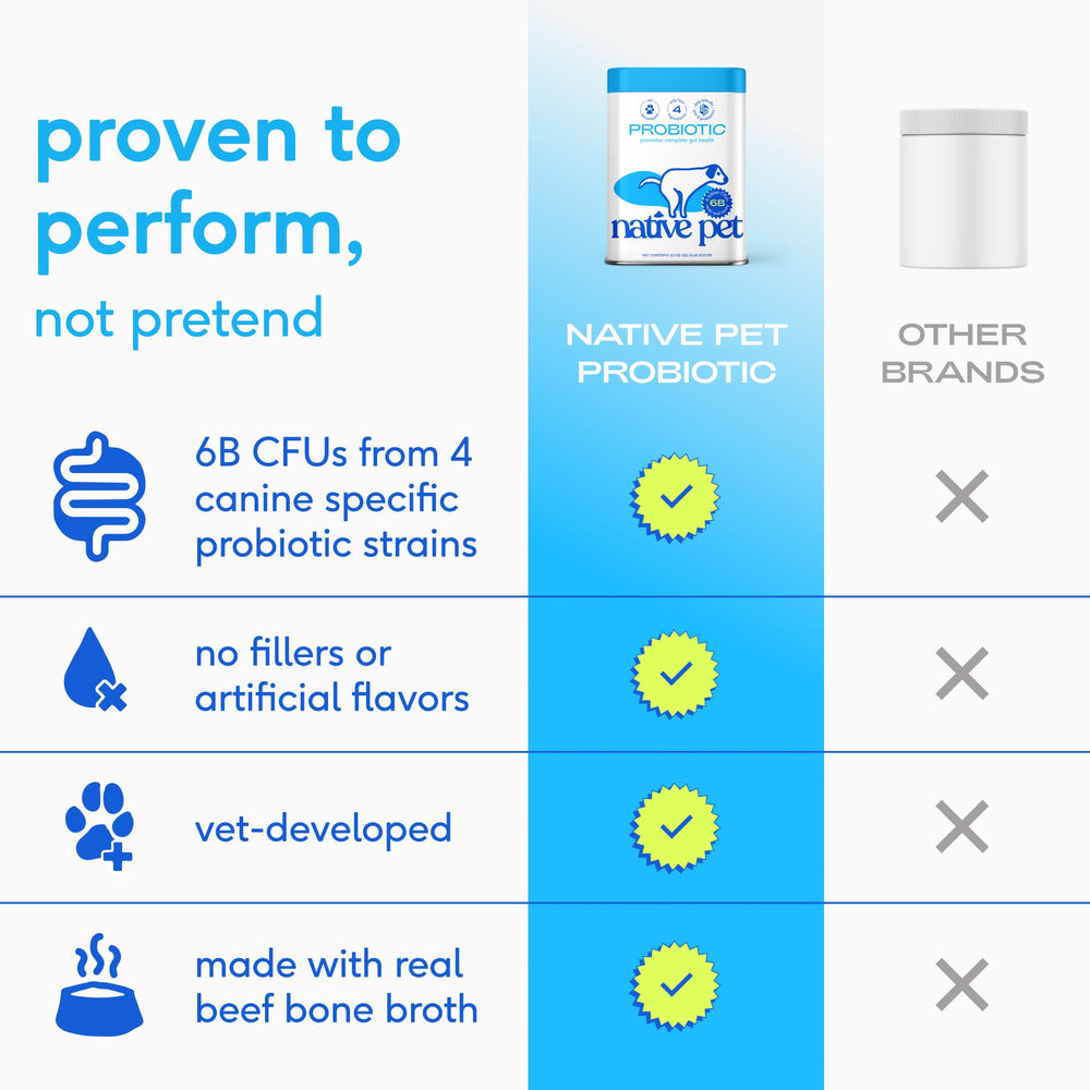 Beef bone broth flavor makes Native Pet powder appealing to dogs.