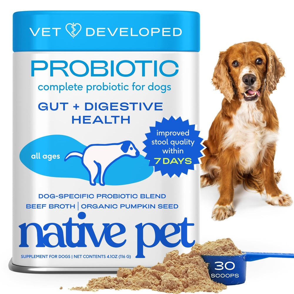 Native Pet Probiotics for Dogs powder in tub promotes daily gut balance.