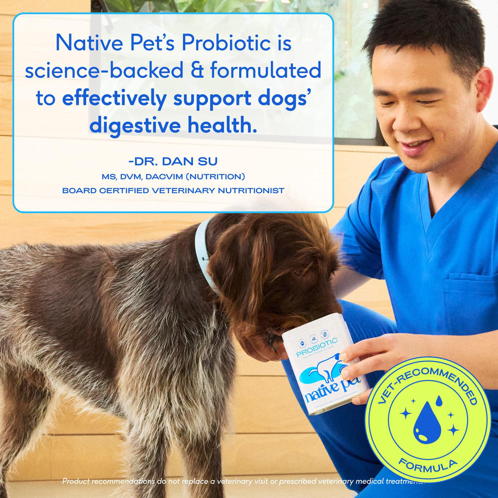 Native Pet Probiotics vet-developed formula reflects science-backed canine digestive support.