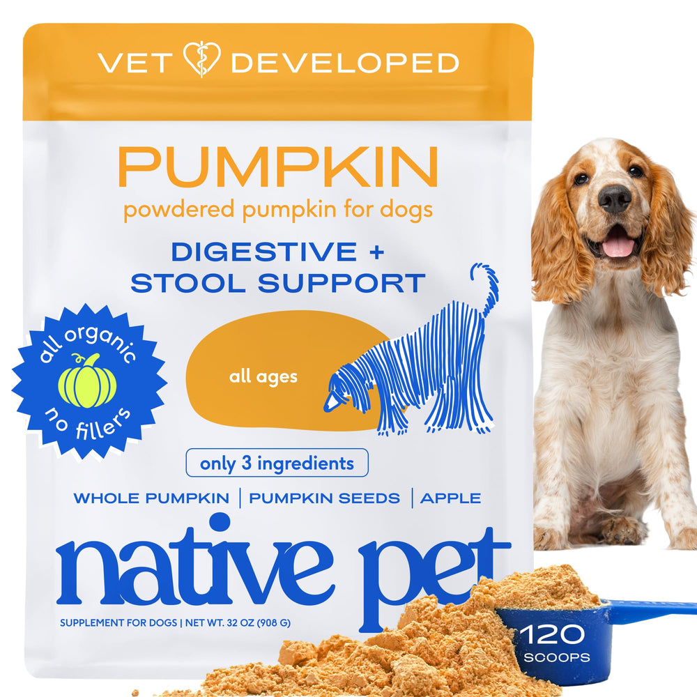 Native Pet Pumpkin for Dogs bottle with organic powder ready to scoop for firm stools.