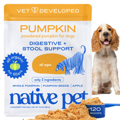 Native Pet Pumpkin for Dogs bottle with organic powder ready to scoop for firm stools.