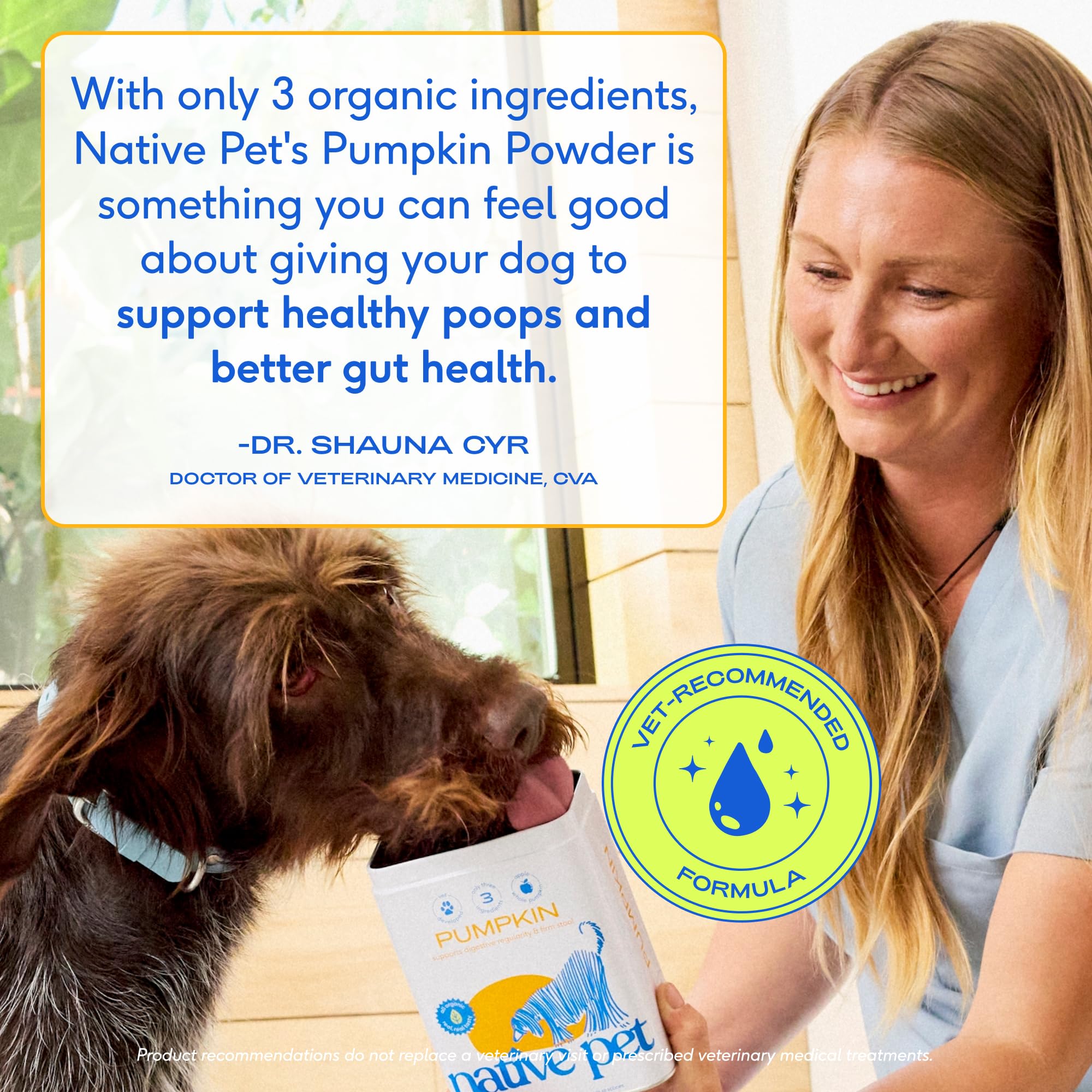 Native Pet Pumpkin Powder made in USA with USDA Organic seal.