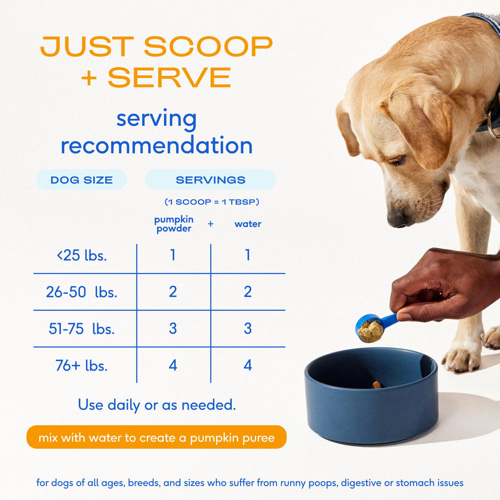Native Pet Pumpkin Powder shelf-life demonstrates shelf-stability compared to canned pumpkin.