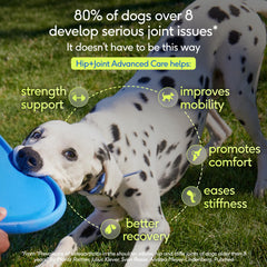 Native Pet scoop for easy daily dosing of dog joint powder.
