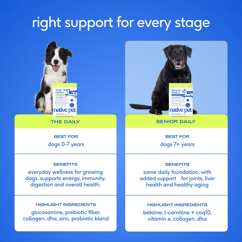 Native Pet DHA brain health for older dogs in powder form.