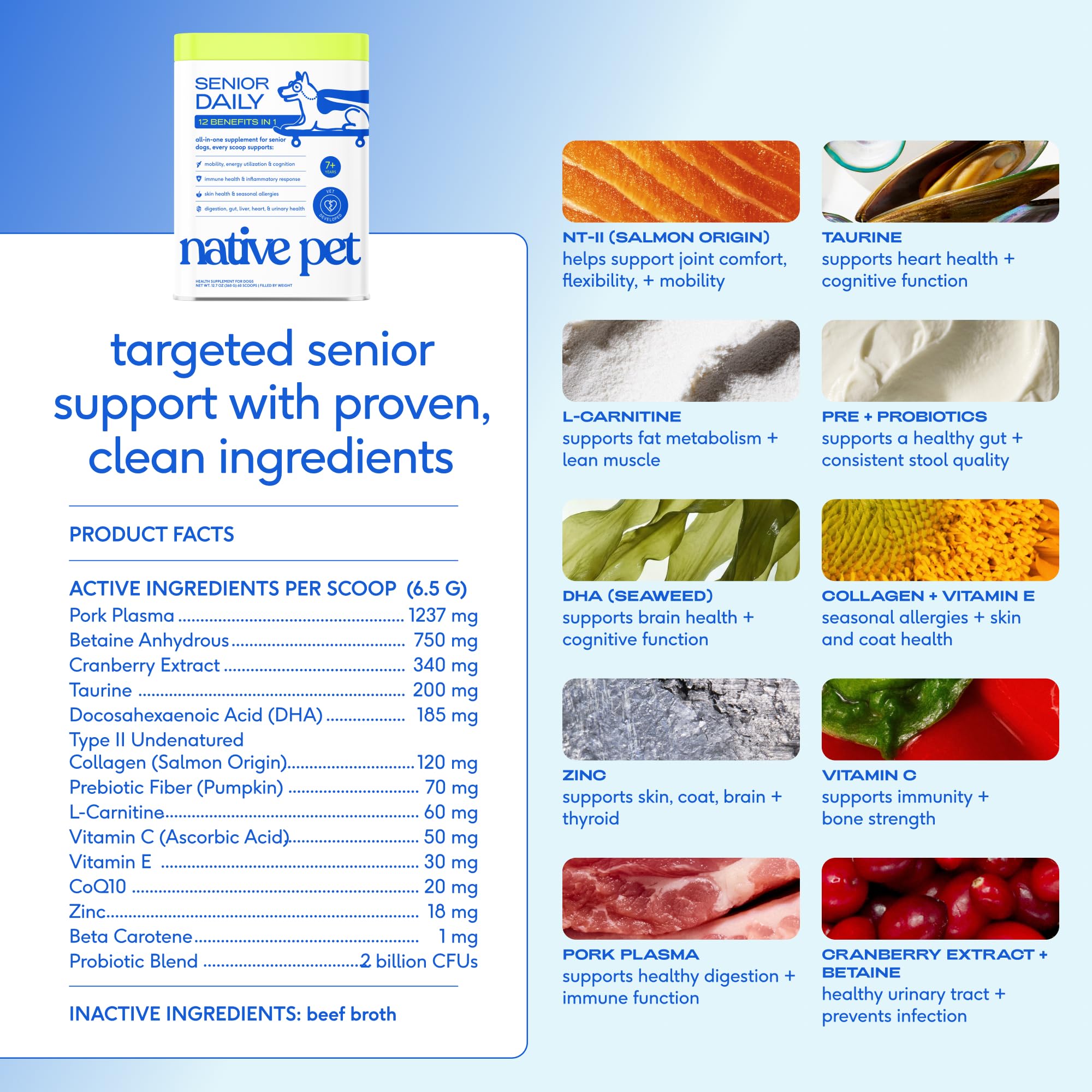 Native Pet senior dog joint support powder enhances mobility during daily activities.