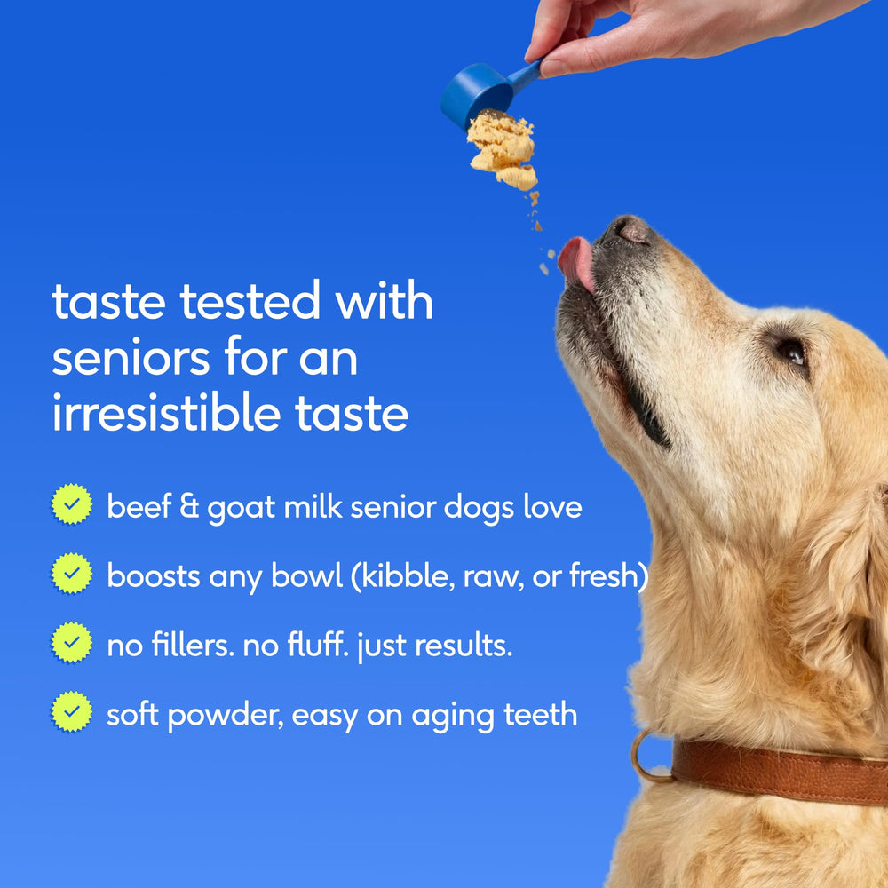 Native Pet Senior Vitamins served with chow for a tasty daily ritual.
