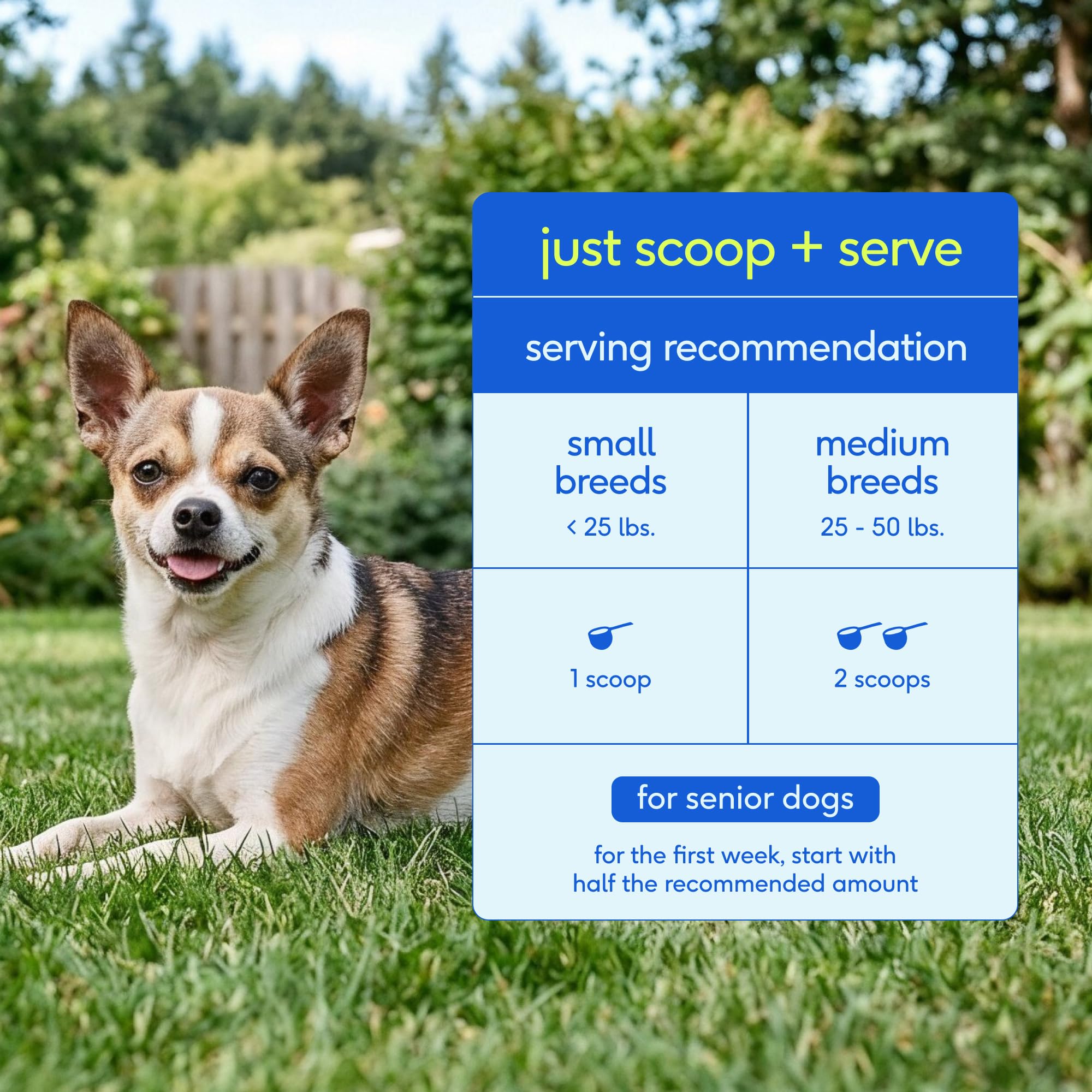 Native Pet Senior Dog Vitamins USA made logo and clean ingredient list.