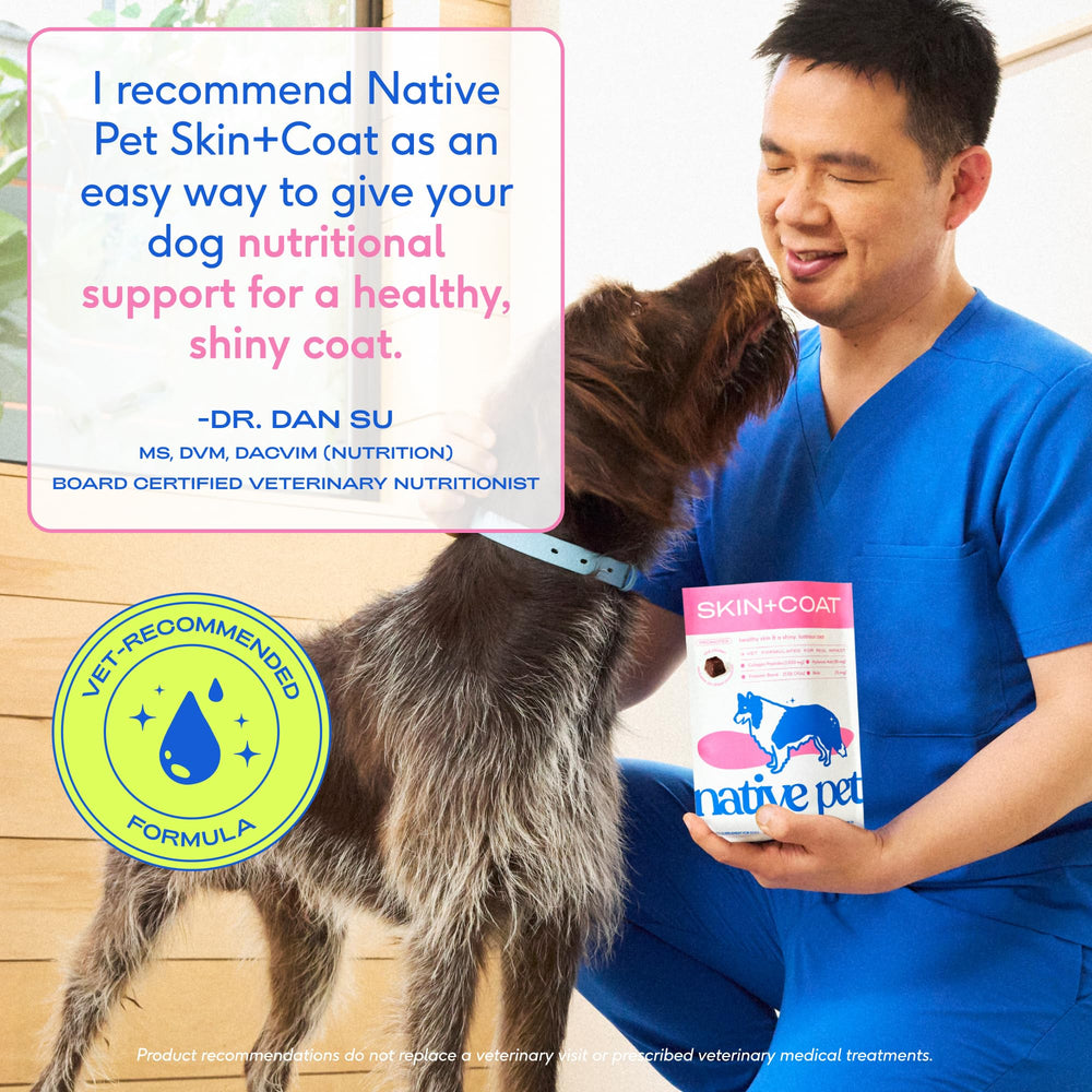 Made in the USA Native Pet Skin & Coat Chews from wild-caught salmon