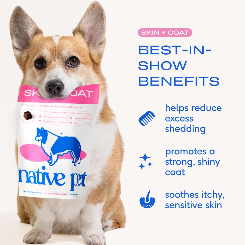 Native Pet Skin & Coat Chews packaging close-up highlighting USA-made formula.