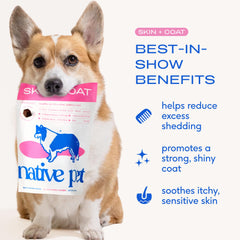Native Pet Skin & Coat Chews packaging close-up highlighting USA-made formula.