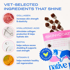 Shiny coat look after using Native Pet Skin & Coat Chews regularly