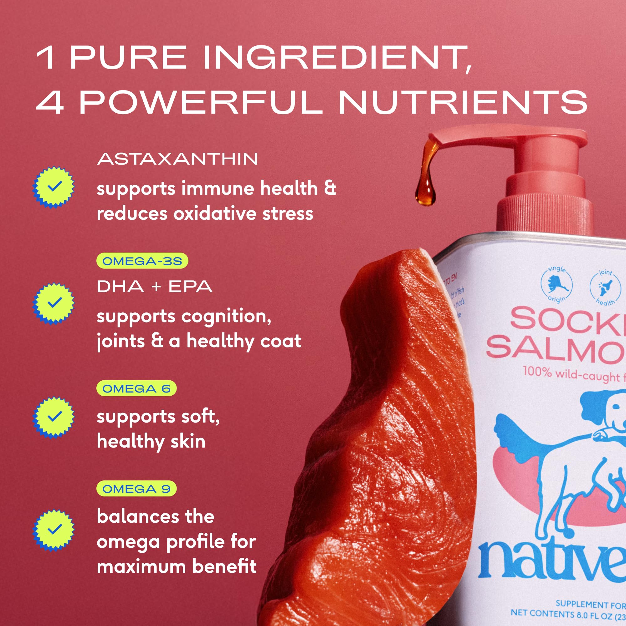 Dog food being topped with Native Pet Salmon Oil, supporting coat vitality and joint comfort.
