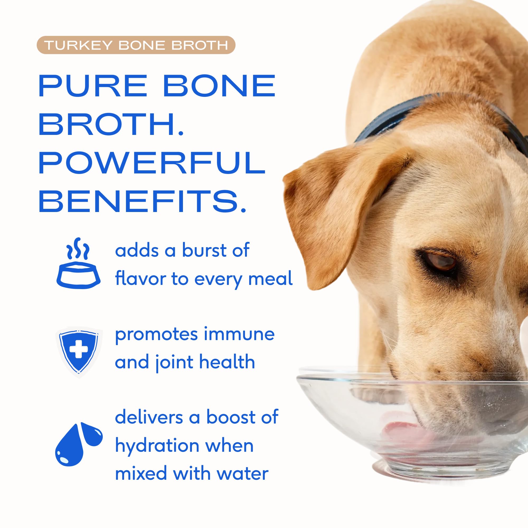 Native Pet bone broth powder mixed with water creates a tasty gravy.
