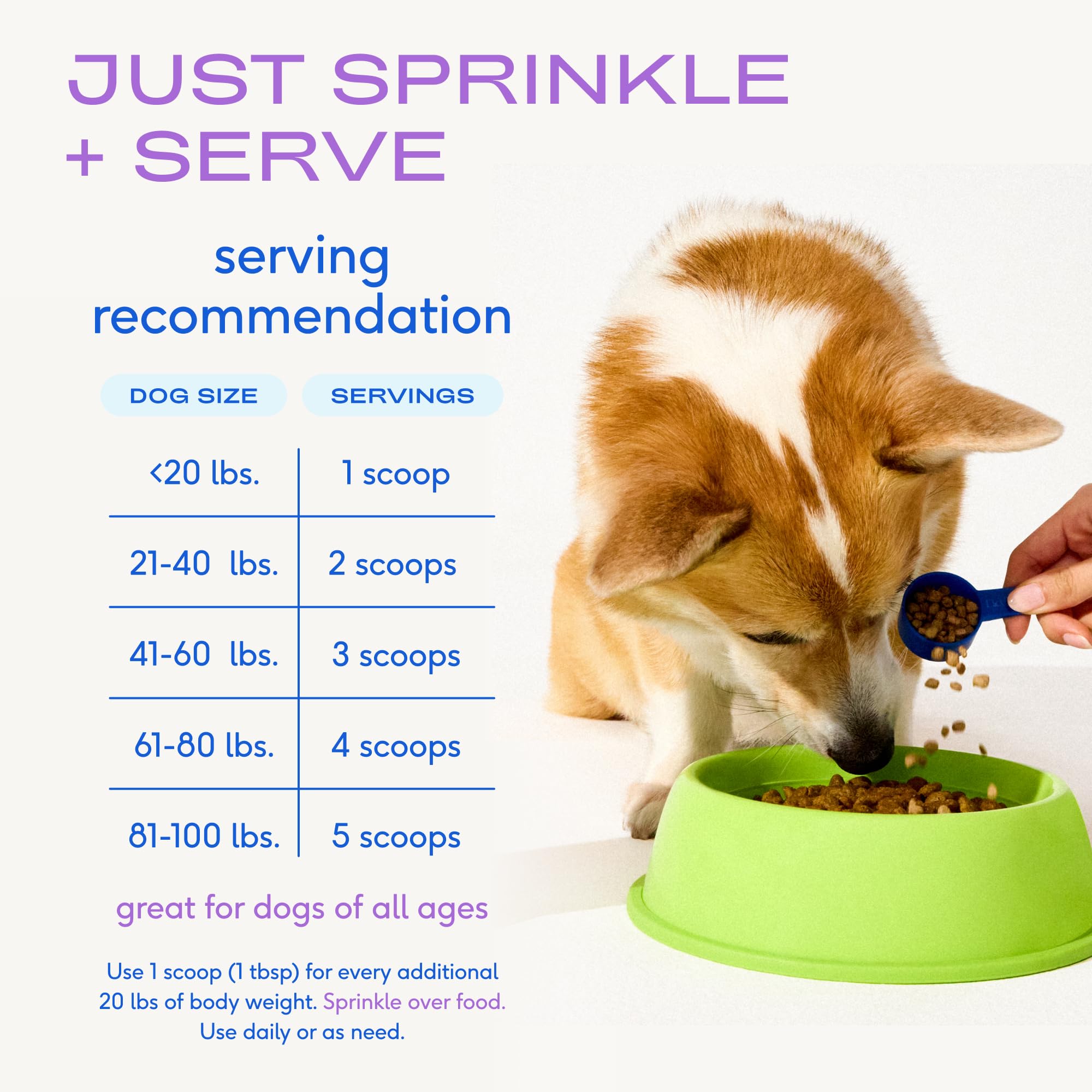 Dog enjoying a meal with WonderGland topper added to kibble