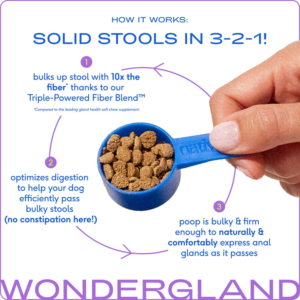 WonderGland meal topper sprinkled over dog food in bowl for easy feeding