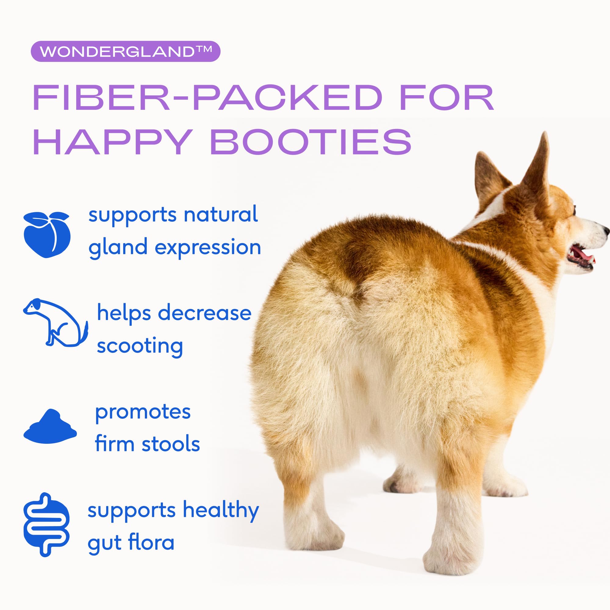 Native Pet WonderGland measuring-scoop for precise daily dosing.