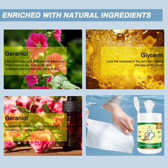 Natouch wipes packaging front highlighting natural ingredients and large wipe size.