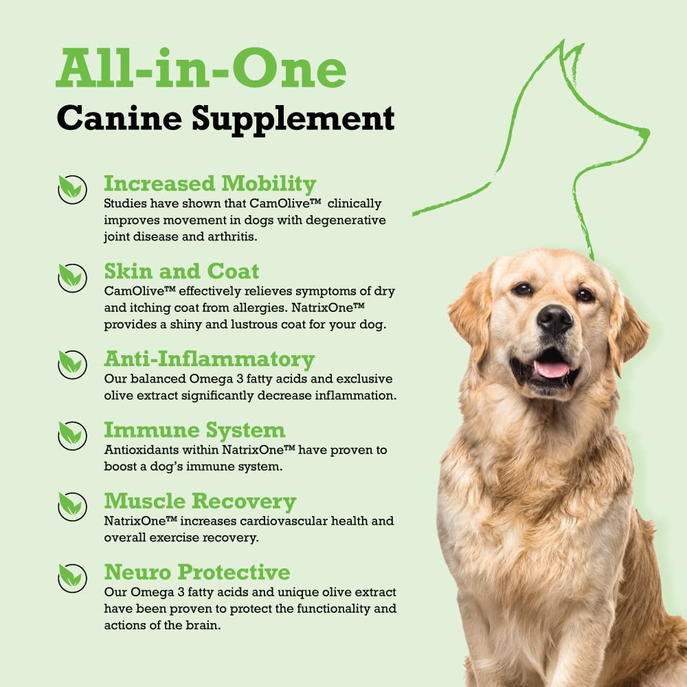 NatrixOne camelina oil for dogs being poured into kibble for easy meals