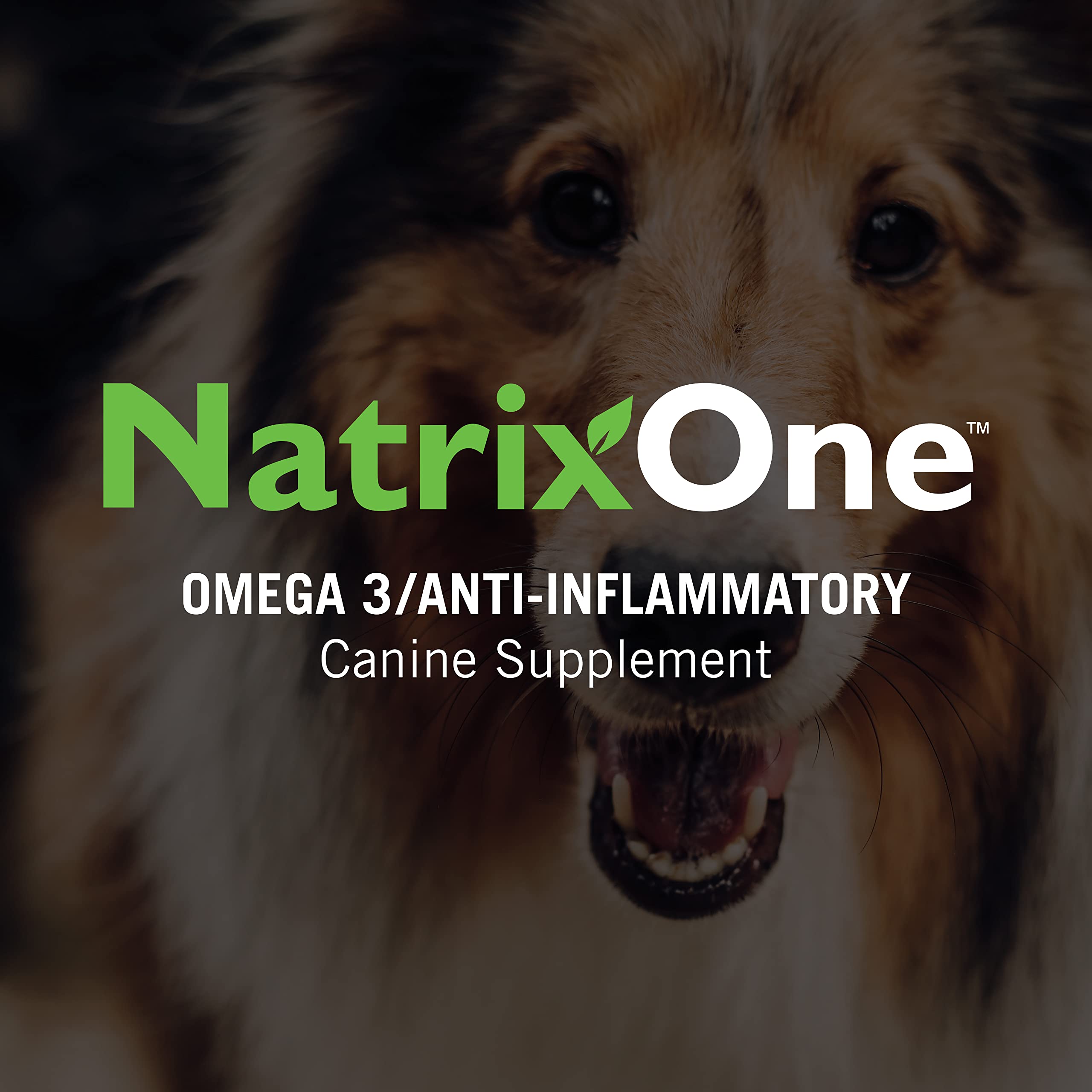 NatrixOne camelina oil blends into meals for dogs
