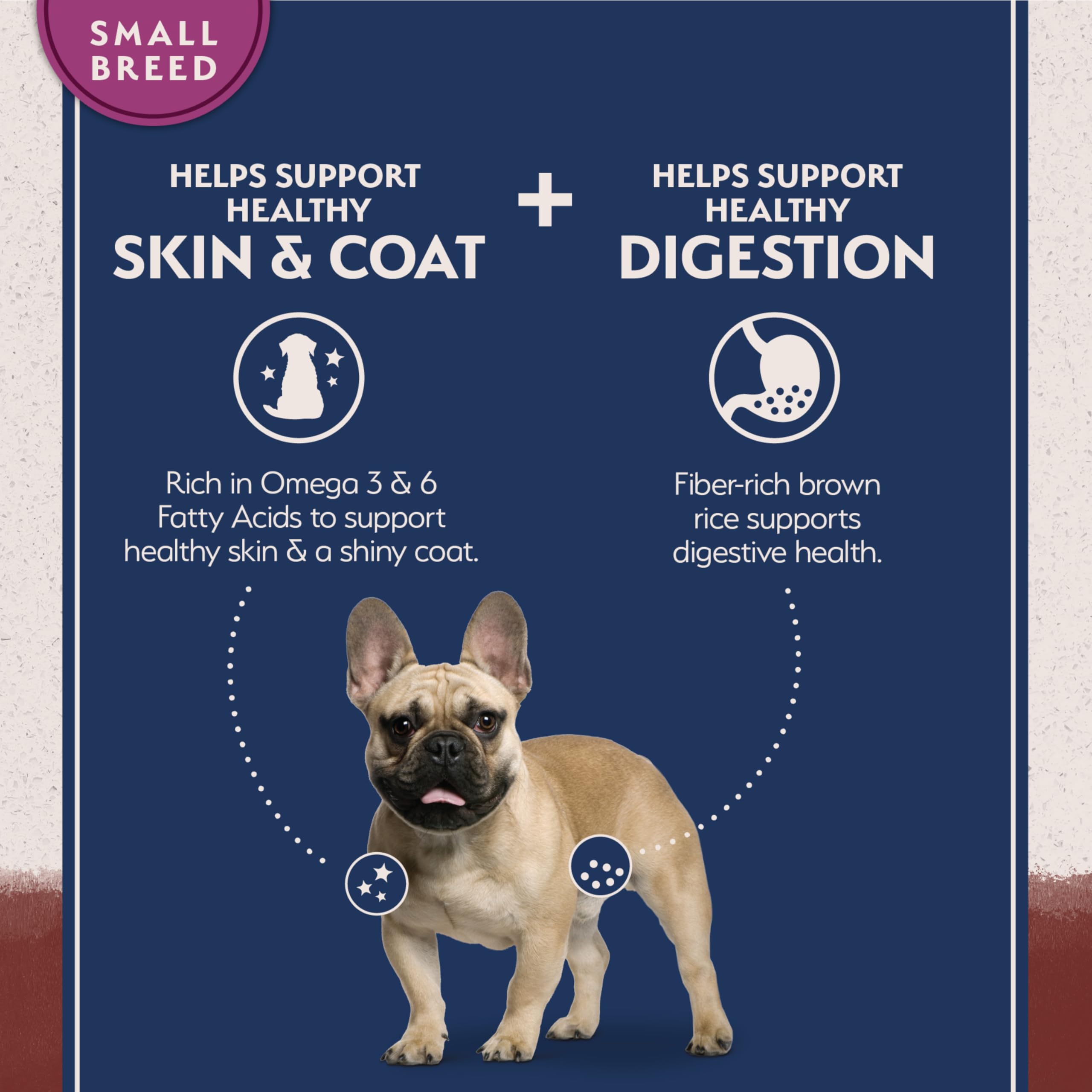Natural Balance beef-first ingredient formula in a dog bowl
