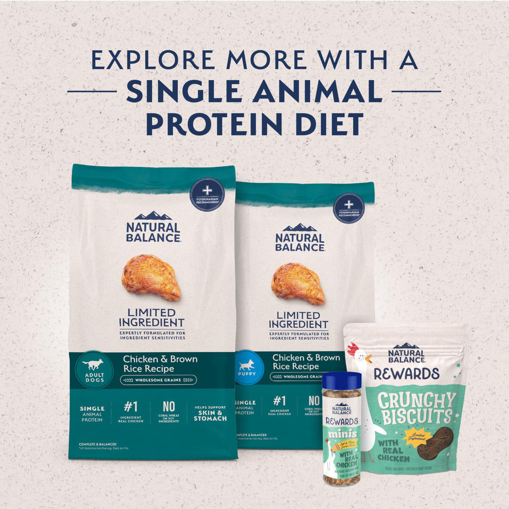 Kibble close-up emphasizing chicken-first ingredient in Natural Balance formula.