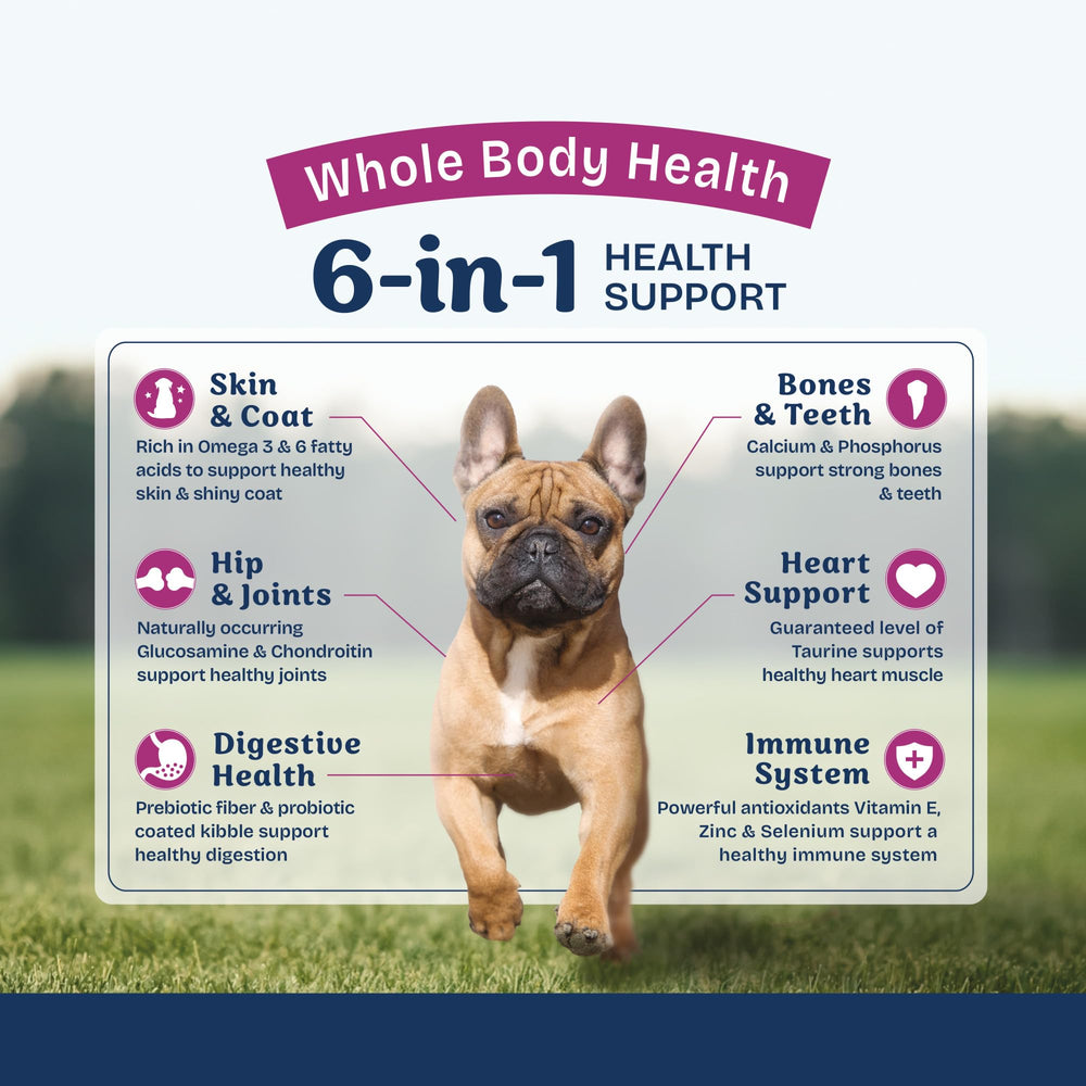 Digestive health-focused kibble by Natural Balance for small breeds