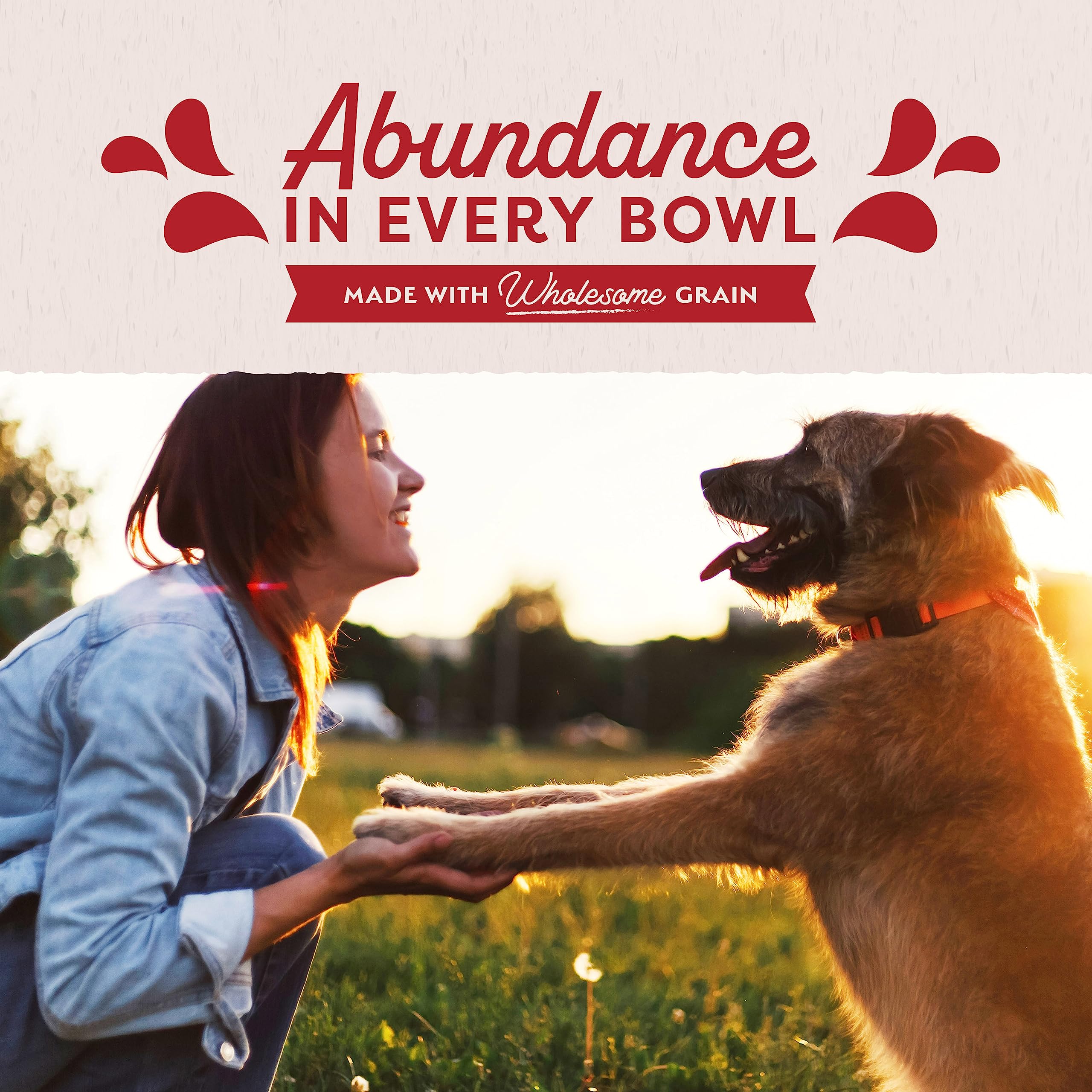 Natural Balance 12-pack convenience image showcases steady meals for dogs