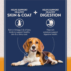 Natural Balance duck-potato kibble close-up highlighting single-protein nutrition